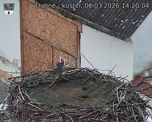 Capi_Dubne_20260301_142004.jpg (1350&nbsp;x&nbsp;1080)