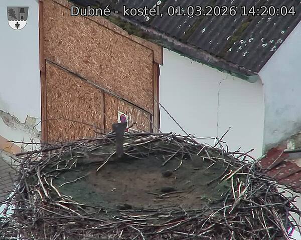 Capi_Dubne_20260301_142004.jpg (1350&nbsp;x&nbsp;1080)