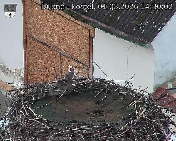 Capi_Dubne_20260301_143002.jpg (1350&nbsp;x&nbsp;1080)