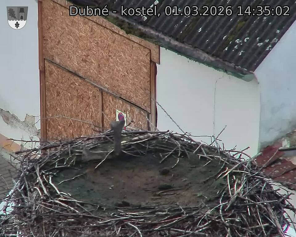 Capi_Dubne_20260301_143502.jpg (1350&nbsp;x&nbsp;1080)
