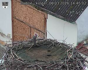 Capi_Dubne_20260301_144502.jpg (1350&nbsp;x&nbsp;1080)