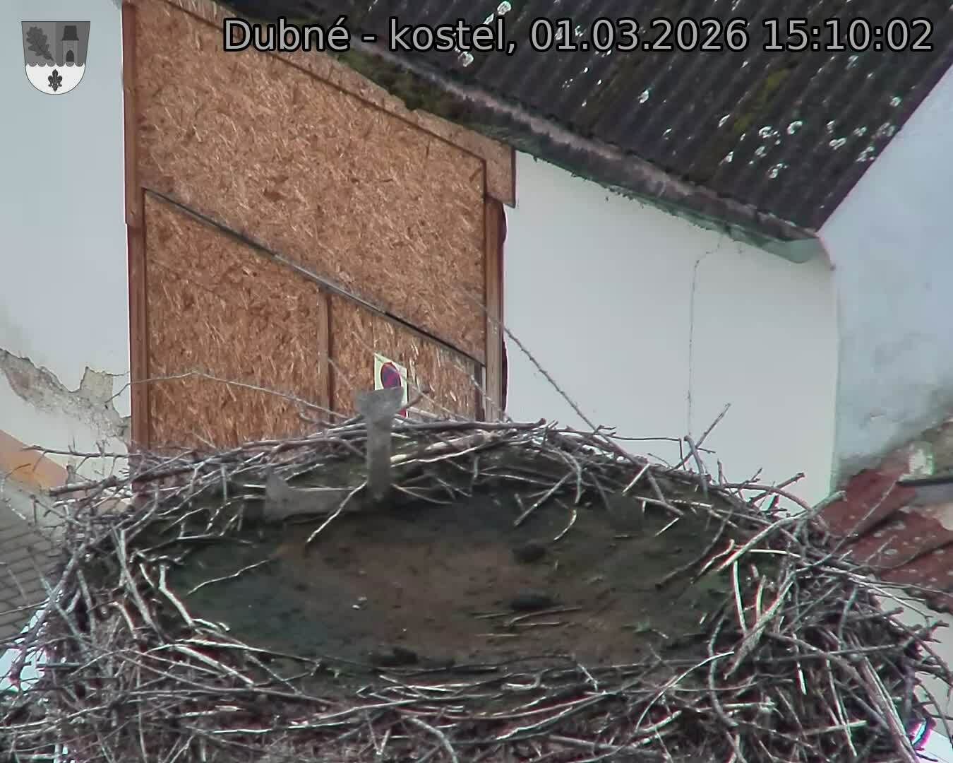 Capi_Dubne_20260301_151002.jpg (1350&nbsp;x&nbsp;1080)