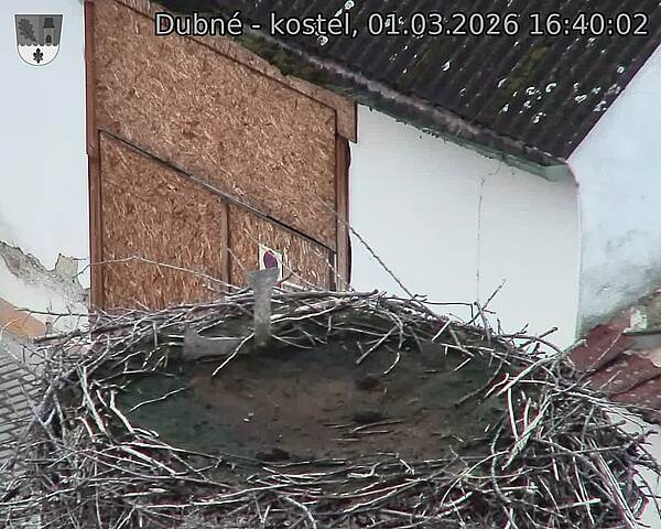 Capi_Dubne_20260301_164002.jpg (1350&nbsp;x&nbsp;1080)