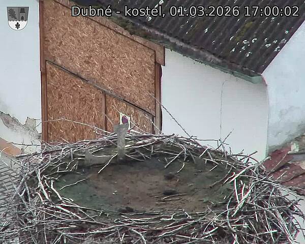 Capi_Dubne_20260301_170002.jpg (1350&nbsp;x&nbsp;1080)