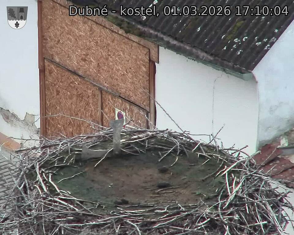 Capi_Dubne_20260301_171004.jpg (1350&nbsp;x&nbsp;1080)