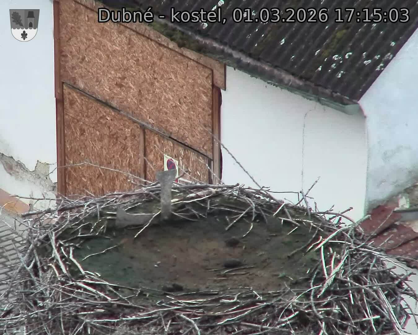 Capi_Dubne_20260301_171503.jpg (1350&nbsp;x&nbsp;1080)