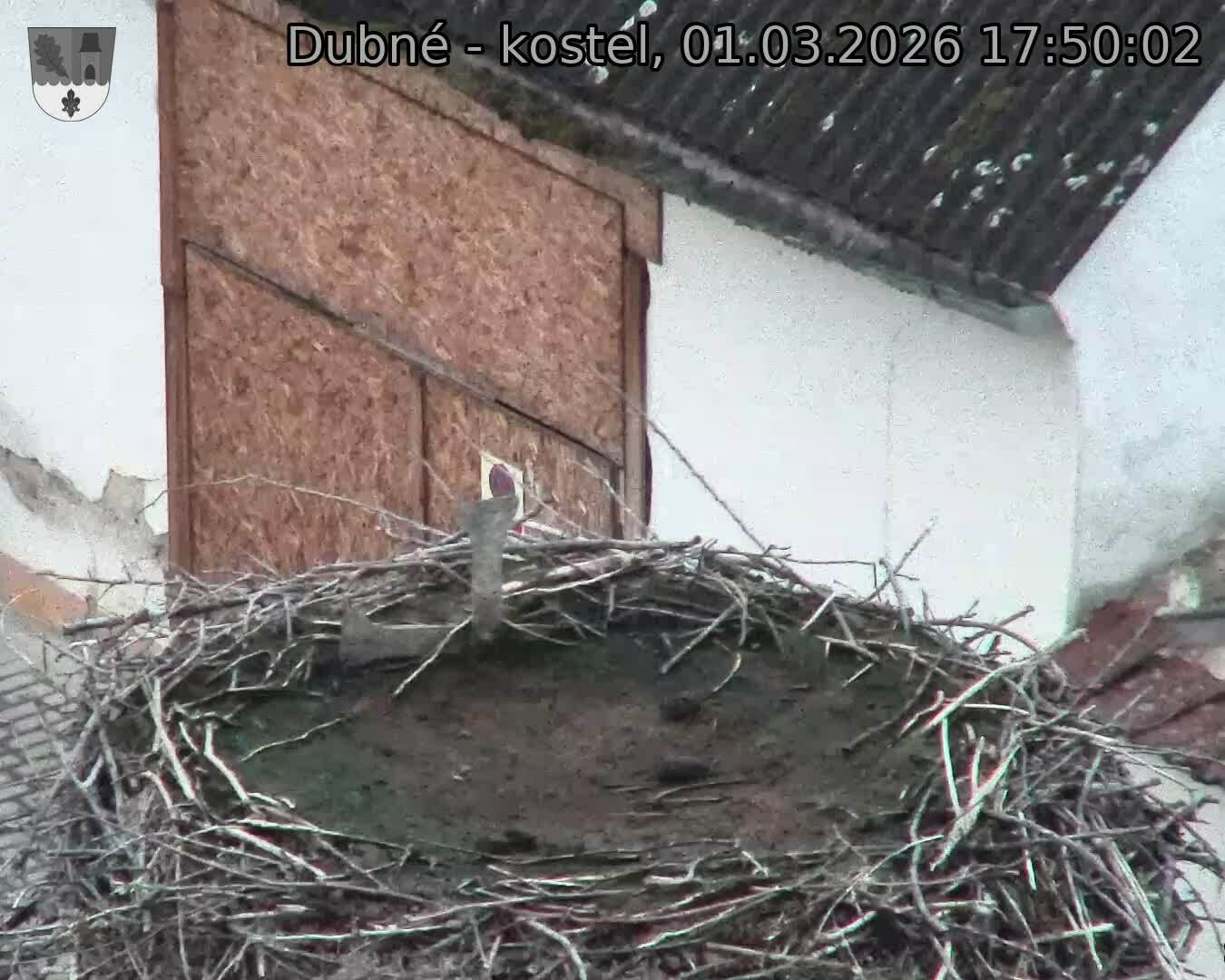 Capi_Dubne_20260301_175002.jpg (1350&nbsp;x&nbsp;1080)