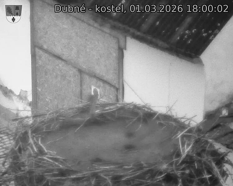 Capi_Dubne_20260301_180002.jpg (1350&nbsp;x&nbsp;1080)