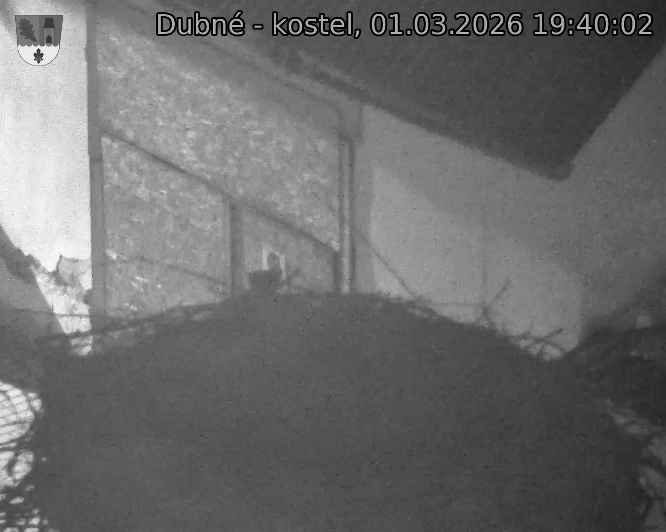 Capi_Dubne_20260301_194002.jpg (1350&nbsp;x&nbsp;1080)