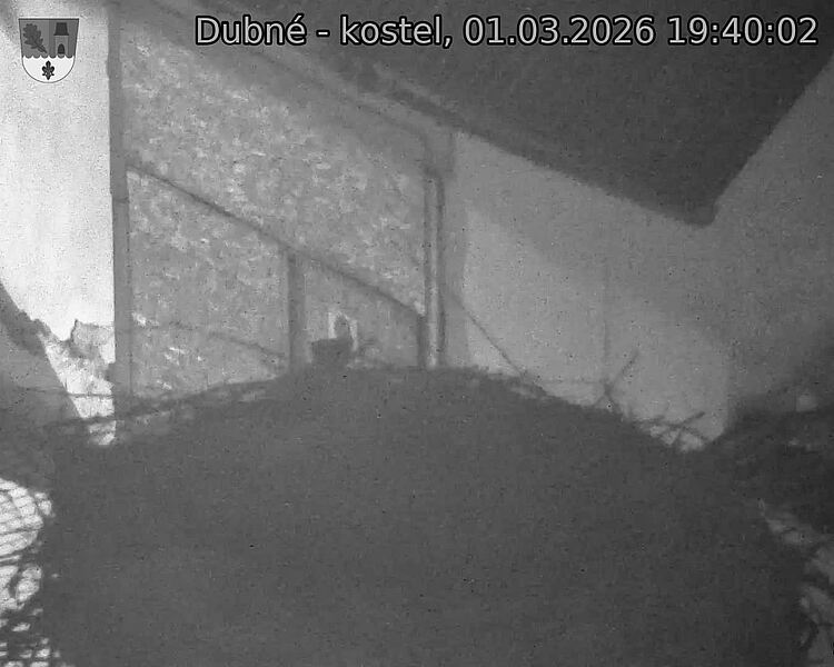 Capi_Dubne_20260301_194002.jpg (1350&nbsp;x&nbsp;1080)