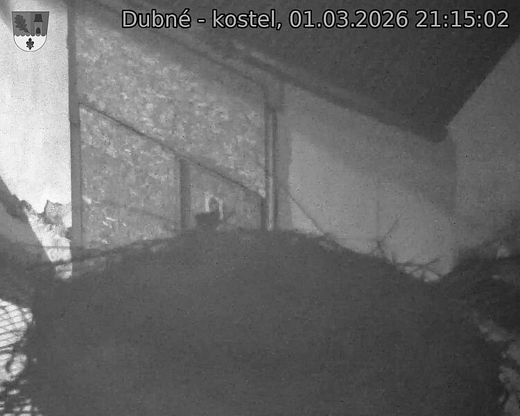 Capi_Dubne_20260301_211502.jpg (1350&nbsp;x&nbsp;1080)