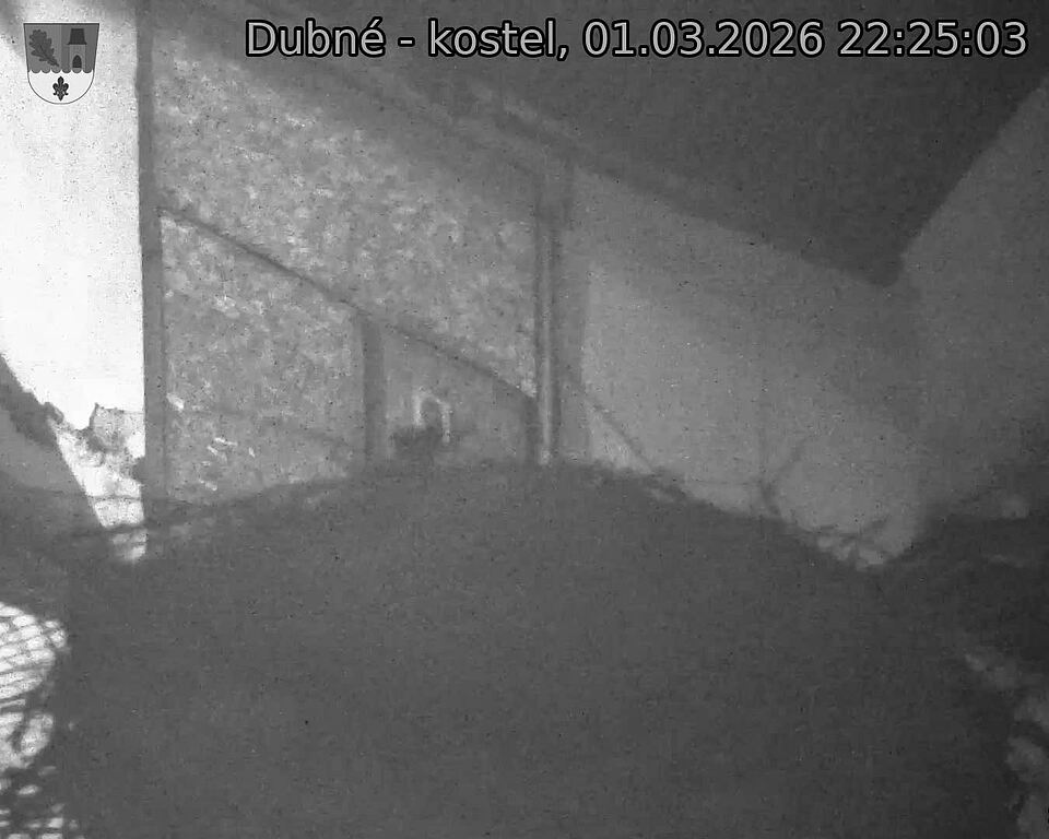 Capi_Dubne_20260301_222503.jpg (1350&nbsp;x&nbsp;1080)