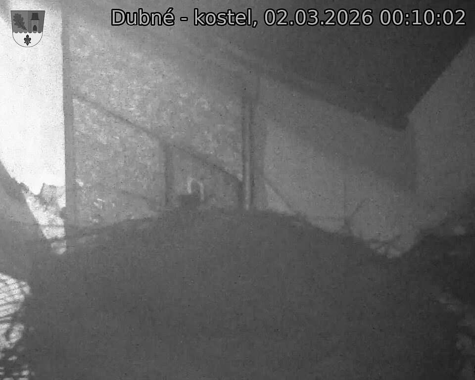Capi_Dubne_20260302_001002.jpg (1350&nbsp;x&nbsp;1080)