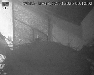 Capi_Dubne_20260302_001002.jpg (1350&nbsp;x&nbsp;1080)