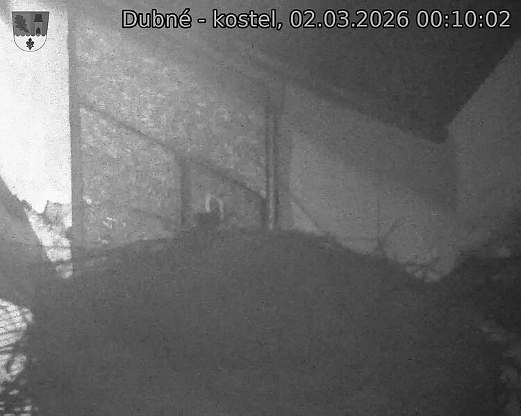 Capi_Dubne_20260302_001002.jpg (1350&nbsp;x&nbsp;1080)