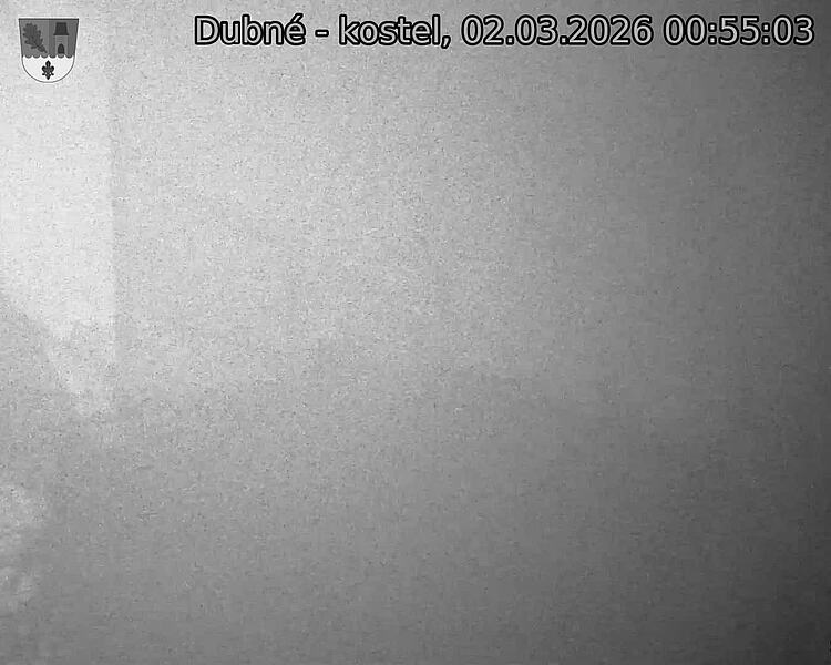 Capi_Dubne_20260302_005503.jpg (1350&nbsp;x&nbsp;1080)