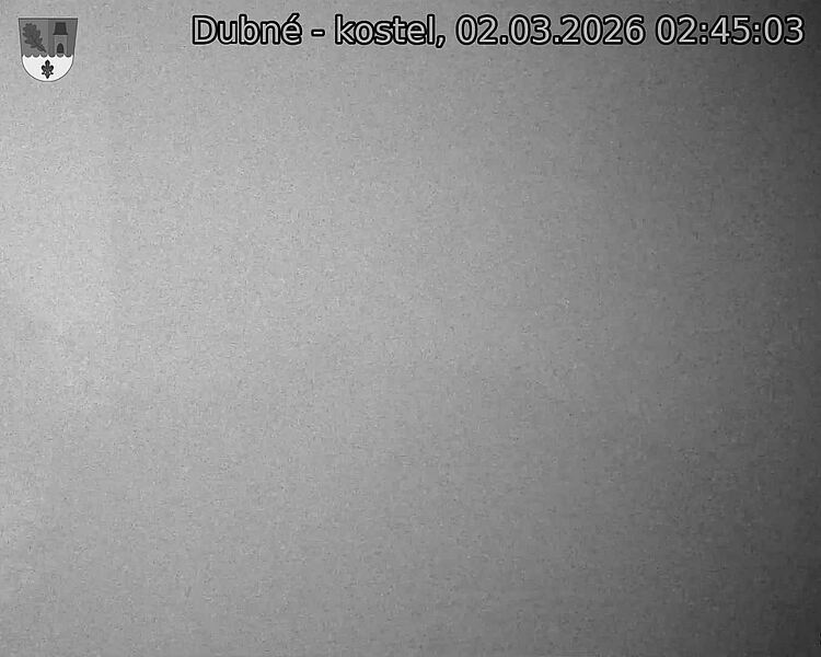 Capi_Dubne_20260302_024503.jpg (1350&nbsp;x&nbsp;1080)