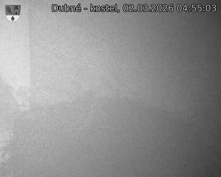 Capi_Dubne_20260302_045503.jpg (1350&nbsp;x&nbsp;1080)