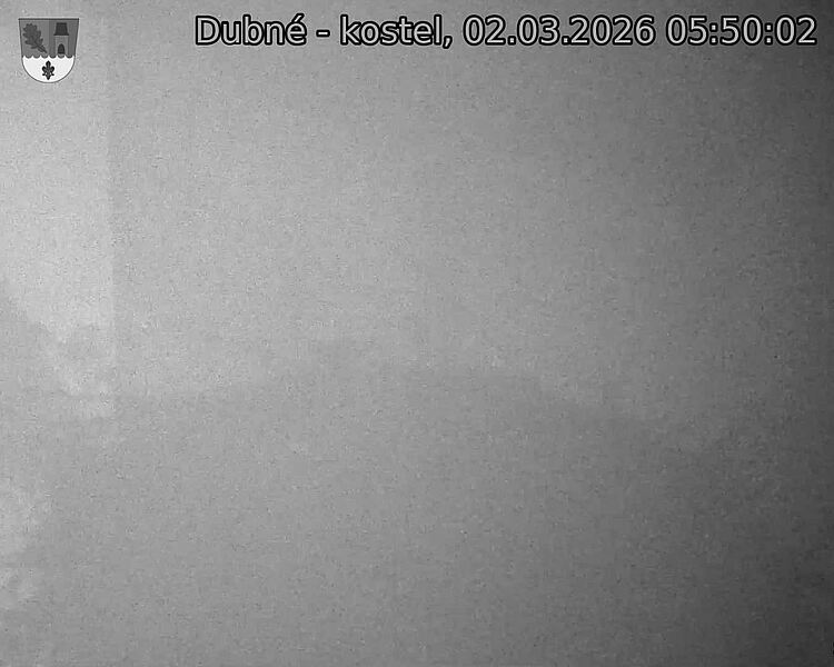 Capi_Dubne_20260302_055002.jpg (1350&nbsp;x&nbsp;1080)