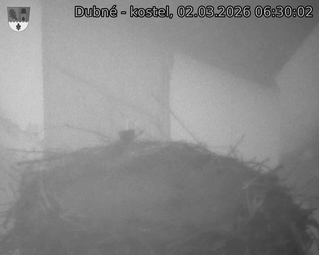 Capi_Dubne_20260302_063002.jpg (1350&nbsp;x&nbsp;1080)