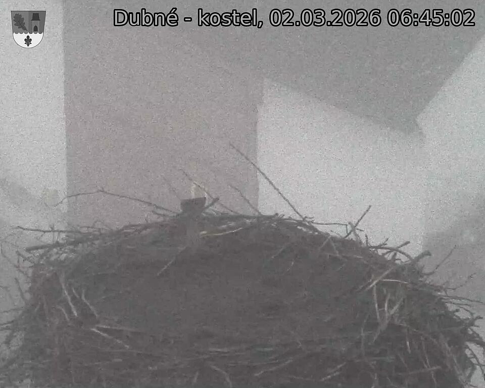 Capi_Dubne_20260302_064502.jpg (1350&nbsp;x&nbsp;1080)