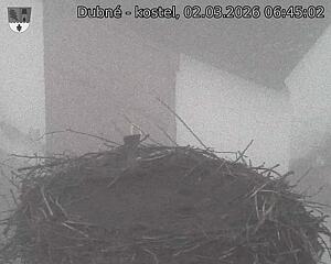 Capi_Dubne_20260302_064502.jpg (1350&nbsp;x&nbsp;1080)