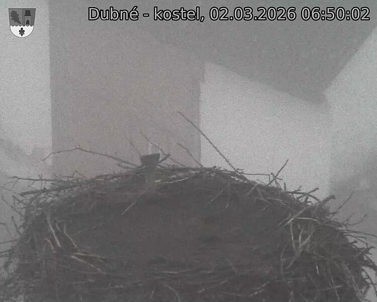 Capi_Dubne_20260302_065002.jpg (1350&nbsp;x&nbsp;1080)