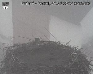 Capi_Dubne_20260302_065503.jpg (1350&nbsp;x&nbsp;1080)