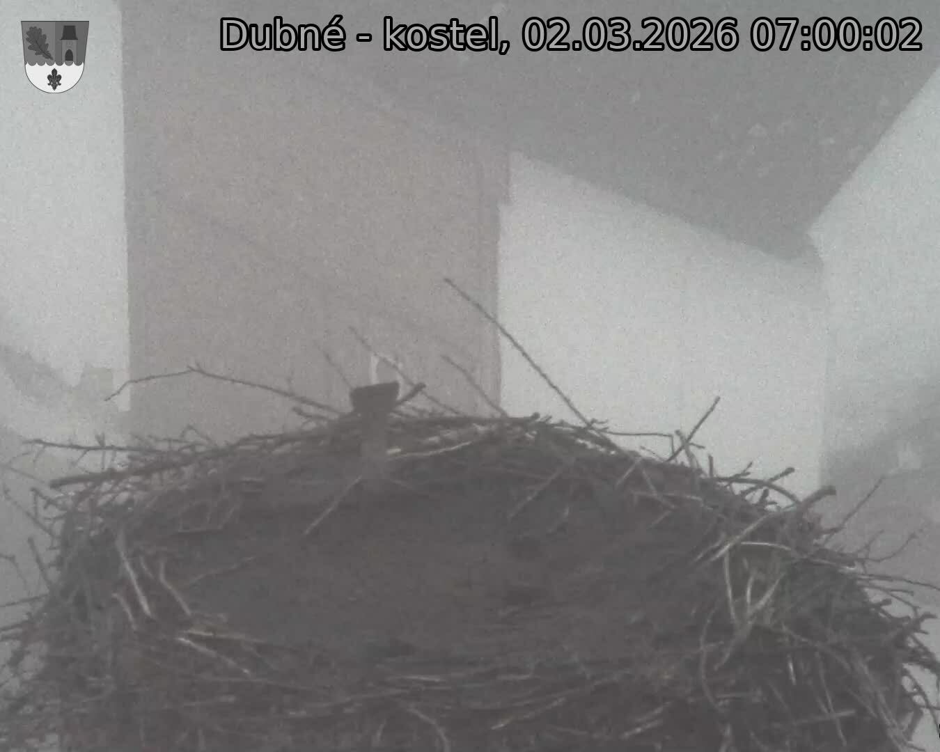 Capi_Dubne_20260302_070002.jpg (1350&nbsp;x&nbsp;1080)