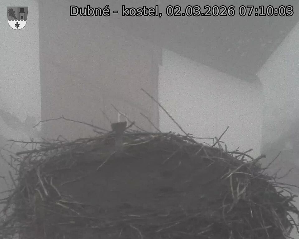 Capi_Dubne_20260302_071003.jpg (1350&nbsp;x&nbsp;1080)