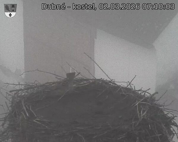 Capi_Dubne_20260302_071003.jpg (1350&nbsp;x&nbsp;1080)