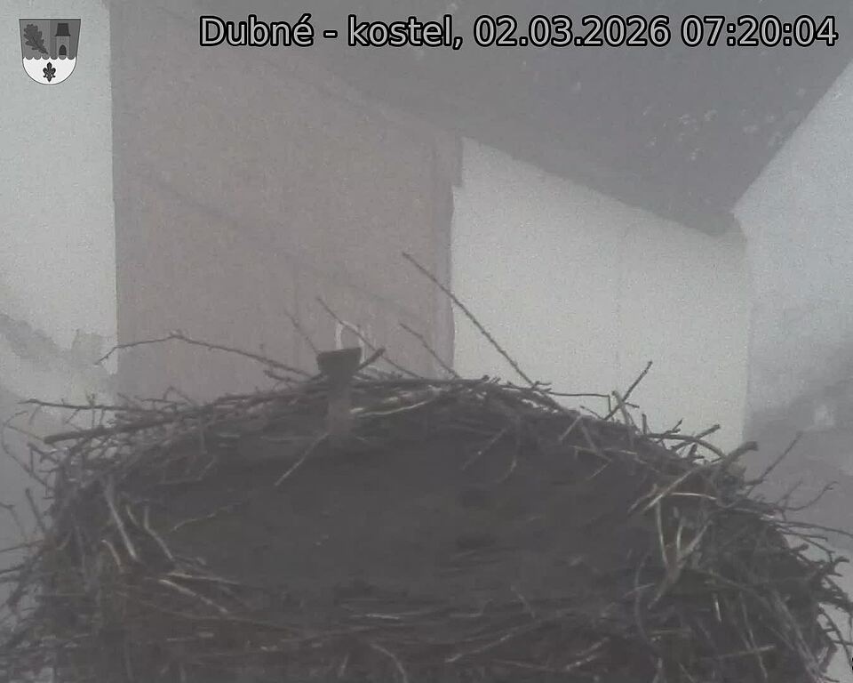 Capi_Dubne_20260302_072004.jpg (1350&nbsp;x&nbsp;1080)