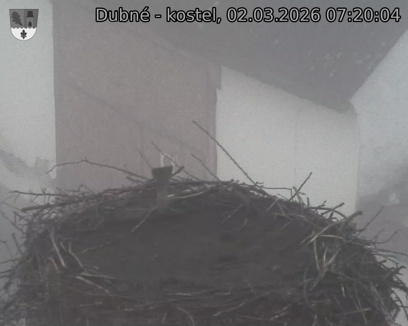 Capi_Dubne_20260302_072004.jpg (1350&nbsp;x&nbsp;1080)