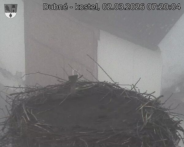 Capi_Dubne_20260302_072004.jpg (1350&nbsp;x&nbsp;1080)