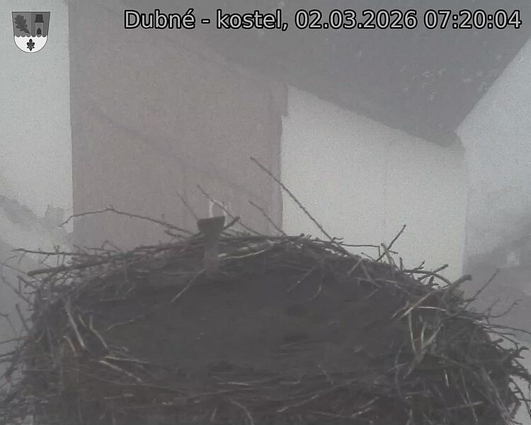 Capi_Dubne_20260302_072004.jpg (1350&nbsp;x&nbsp;1080)