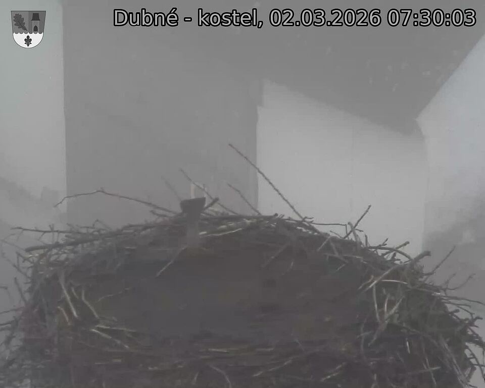 Capi_Dubne_20260302_073003.jpg (1350&nbsp;x&nbsp;1080)