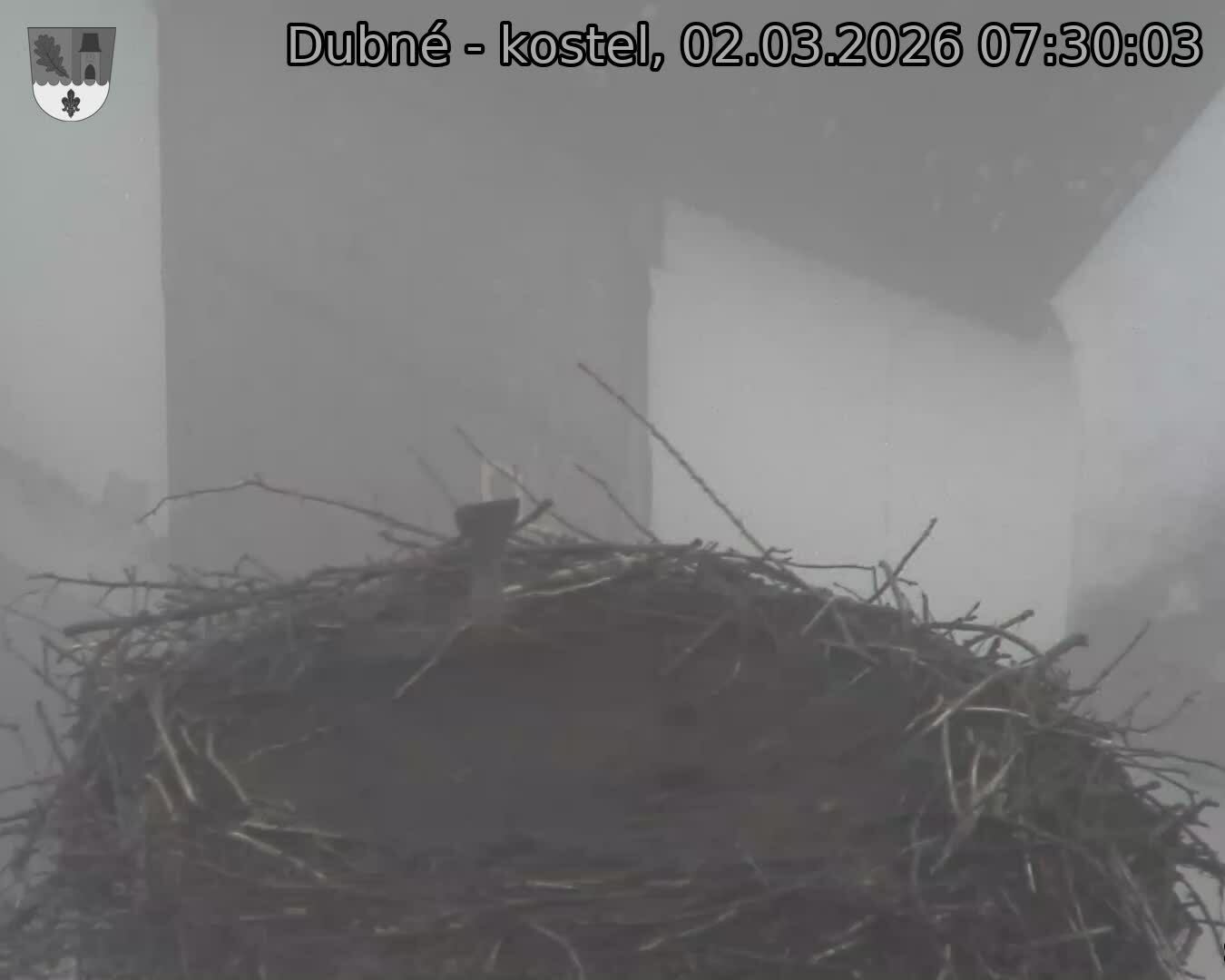 Capi_Dubne_20260302_073003.jpg (1350&nbsp;x&nbsp;1080)
