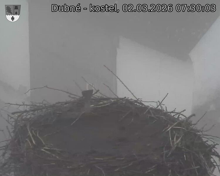 Capi_Dubne_20260302_073003.jpg (1350&nbsp;x&nbsp;1080)