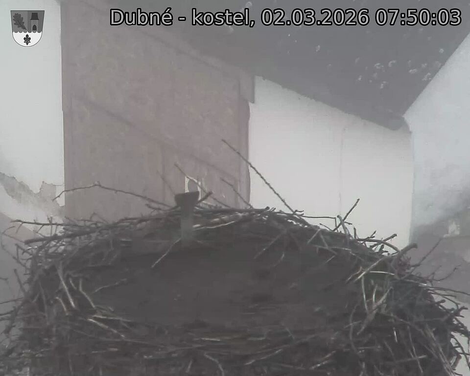 Capi_Dubne_20260302_075003.jpg (1350&nbsp;x&nbsp;1080)