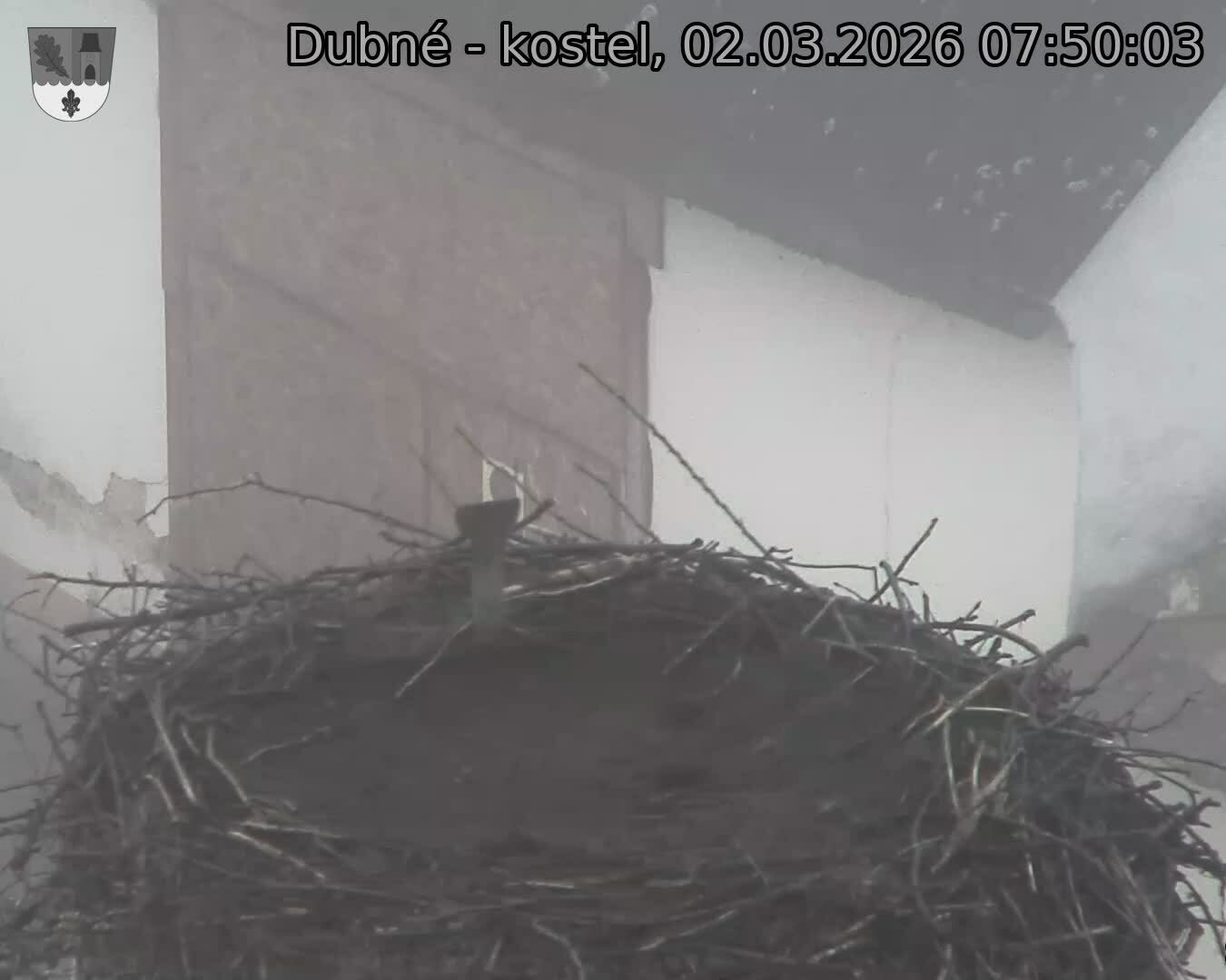 Capi_Dubne_20260302_075003.jpg (1350&nbsp;x&nbsp;1080)