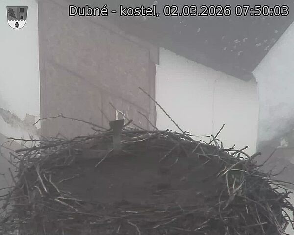 Capi_Dubne_20260302_075003.jpg (1350&nbsp;x&nbsp;1080)