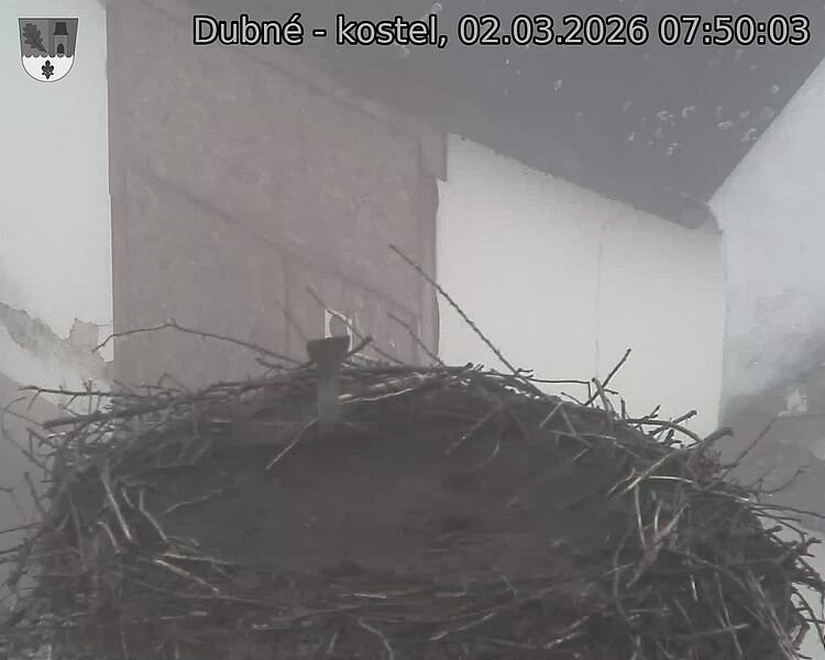 Capi_Dubne_20260302_075003.jpg (1350&nbsp;x&nbsp;1080)