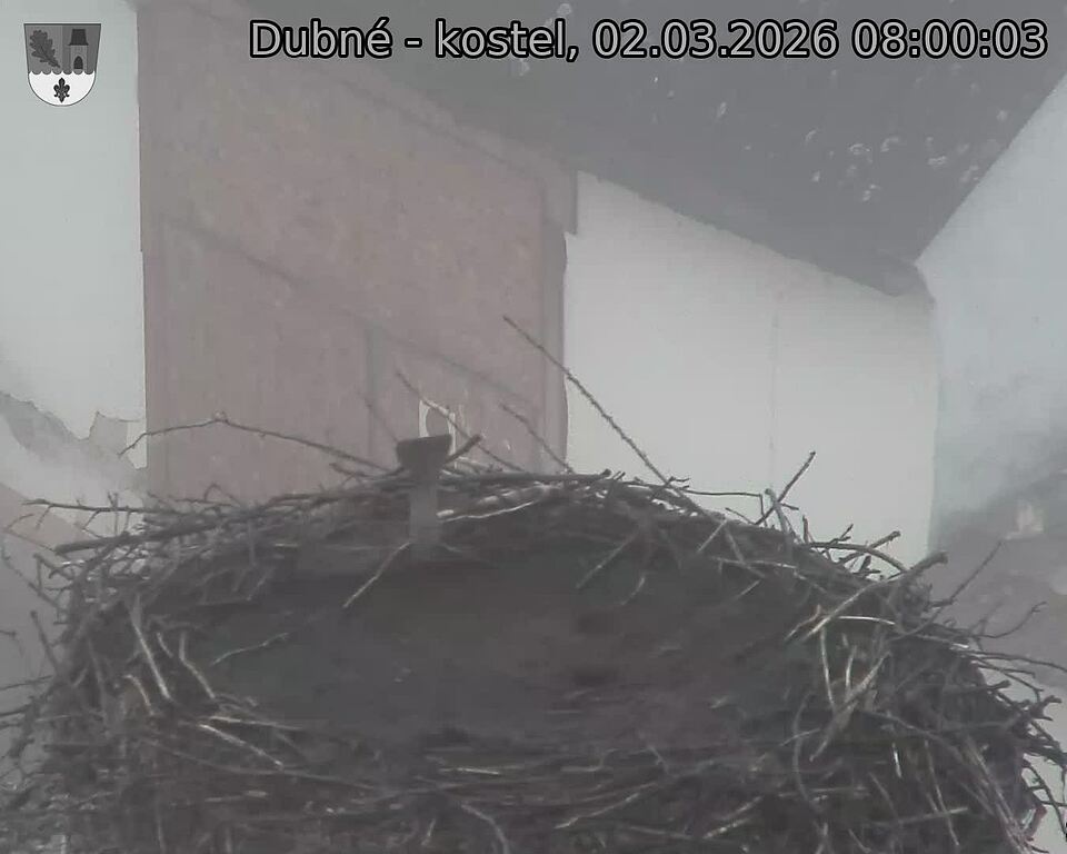 Capi_Dubne_20260302_080003.jpg (1350&nbsp;x&nbsp;1080)