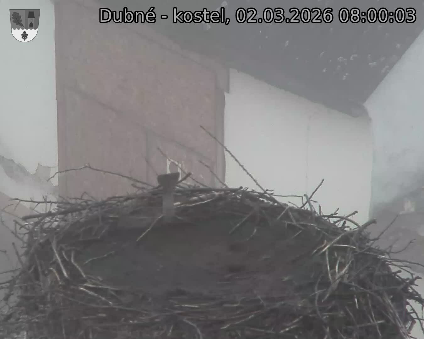 Capi_Dubne_20260302_080003.jpg (1350&nbsp;x&nbsp;1080)