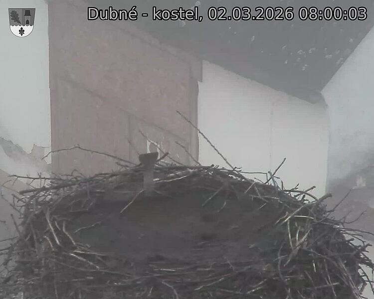 Capi_Dubne_20260302_080003.jpg (1350&nbsp;x&nbsp;1080)