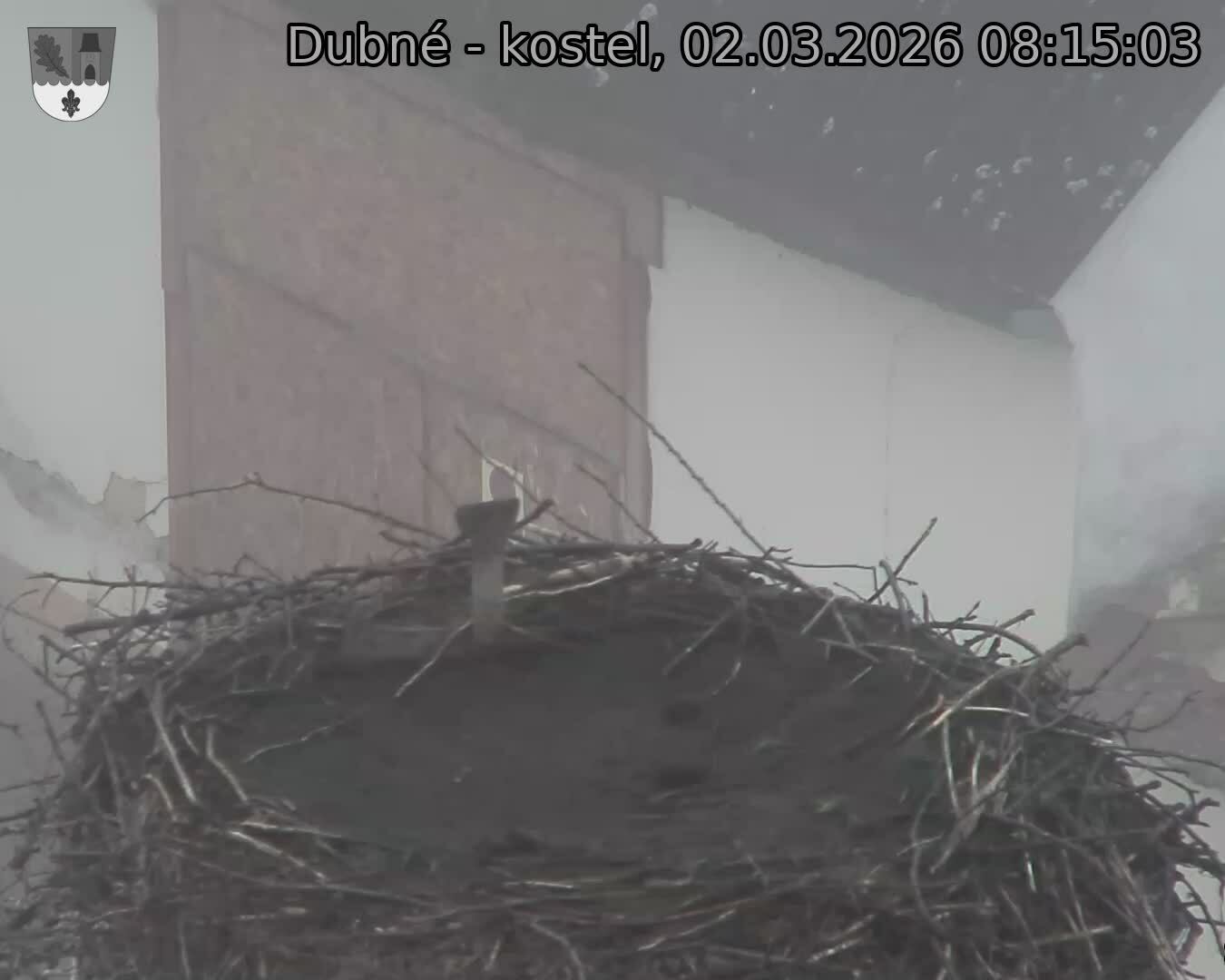Capi_Dubne_20260302_081503.jpg (1350&nbsp;x&nbsp;1080)