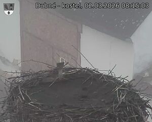 Capi_Dubne_20260302_081503.jpg (1350&nbsp;x&nbsp;1080)