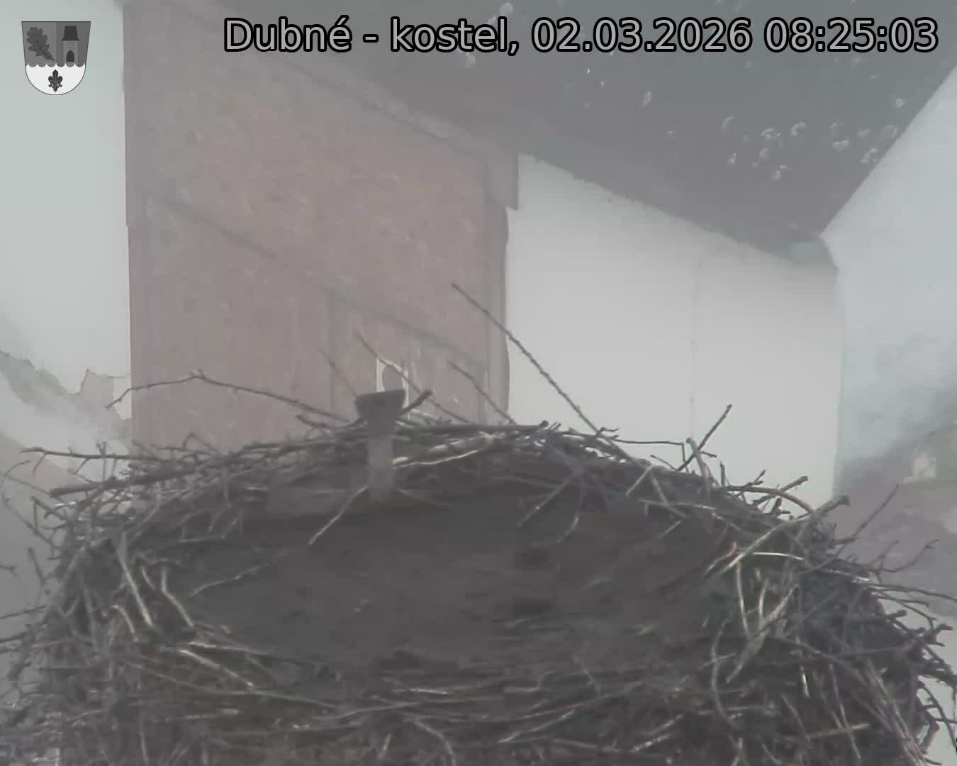 Capi_Dubne_20260302_082503.jpg (1350&nbsp;x&nbsp;1080)