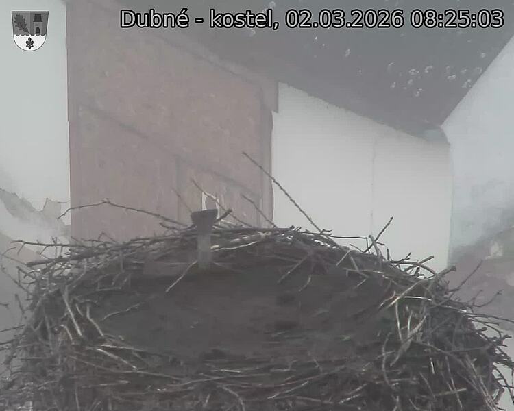 Capi_Dubne_20260302_082503.jpg (1350&nbsp;x&nbsp;1080)