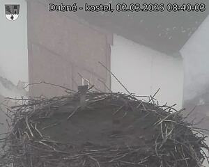 Capi_Dubne_20260302_084003.jpg (1350&nbsp;x&nbsp;1080)